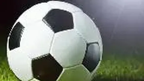 大乐透期号专家推荐质合分析：森林狼对魔术胜负解析